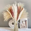 Dekorativa blommor 100st torkat pampasgräs innehåller svansar vass bukett bröllop boho heminredning fluffig rum fragmiter dekoration