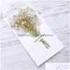 Greeting Cards Dried Flower Gypsophila Christmas Birthday Valentine Day Invitations Card Drop Delivery Home Garden Festive P Dh94K
