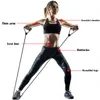Resistance Bands With Handles Yoga Pull Rope Elastic Fitness Exercise Tube Band For Home Gym Workouts Strength Training 5 LevelsResistance