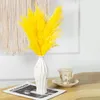 Decorative Flowers 5pcs Natural Plants Dried Bulrush Real Fluffy Pampas Grass For Decoration Party Wedding Accessories Bohemia Home Decor