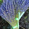 Decorative Flowers 2023 Lavender Air-dried Bouquet Living Room Home Decoration Natural Real 250g Flower Arrangement Gift