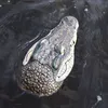 Tuindecoraties zwevende alligator Decoy Simulatie Hoofdtuin Pond Floating Animal Ornaments Park Pool Party Party Decoratie 230518