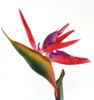 装飾的な花温かい32.5インチホームオフィス用のパラダイスの人工花の大きなエレガントな鳥（赤）