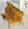 Decorative Flowers Grade Dry Lycopodium Forest Natural Dried Fresh Flower True Branch Lion Grass Material For Home Decoration