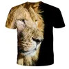 T-shirts pour hommes 2023 T-shirt Lion personnalisé imprimé en 3D à manches courtes homme été hip-hop col rond haut décontracté