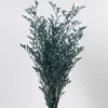Dekorative Blumen, 30–40 cm, natürliches Kristallgras, ewiges Leben, echtes, für immer getrocknetes Liebhaber-Blumenarrangement für Zuhause, Hochzeitsdekoration