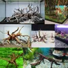 Dekorationer Hot Sale Mini Driftwood för Aquarium Natural Wood Branches Fish Tank Decorations Reptiles Tree Trunk Driftwood Blandad (10 Pack)