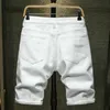 Mens Jeans Summer Boutique Cotton Fashion Ripped Casual Shorts White Black Male Beach Elasticity 230519