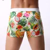 Slip Sexy Men Fruit Print Smooth Solid Big U Convex Pouch Boxers Respirant Boxer Underwear Low Rise G-string Gay Wear Plus Size F10