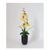 Decoratieve bloemen 2023 Decoratie Simulatie Bloempot Set stuk Eeuwige Life Silk Bonsai Phalaenopsis Plant