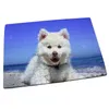 Outils d'artisanat Taille A5 Bricolage Sublimation Puzzles Puzzle vierge Jigsaw Transfert d'impression thermique Retour local Cadeau Drop Delivery Home Garden A Dhicg