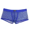 Трусики Sexy Mesh Men's Conties Hollow See Then Boxers Тоннпрозрачный нижнее белье-искушение боксер-боксер с низкой талией мужчина