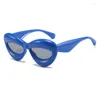 Lunettes de soleil ZLY 2023 mode œil de chat femmes hommes coloré PC résine lentille cadre Vintage tendance fête plage Style lunettes UV400