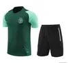 Korte mouw 23 24 Algerije Algerie Mens Kids Football Tracksuit Jersey Kit Set Men Trainingspak Voetbal Tracksuits Survetement Foot Chandal Futbol Jogging Sets