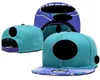 Charlotte''Hornets''Ball Caps 2023-24 unisexe mode coton casquette de baseball chapeau snapback hommes femmes chapeau de soleil broderie printemps été '' casquette en gros