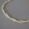 Chaînes de perles d'eau douce Chocker double couche femmes collier élégant