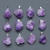 Collane con ciondolo Collana di ametiste naturali di roccia minerale per le donne Festa piccola Charms a grappolo di cristallo viola irregolare Gioielli Reiki