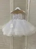 Mädchenkleider Lila Erröten Spitze Tüll Formelles Blumenkleid für besondere Anlässe Brautjungfer Party Hochzeit Festzug Geburtstag Poshoot