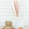 Decorative Flowers 60 Pcs Tall Natural Dried Wedding Bouquets Reed Decor Artificial Floral Arrangement Table Centerpiece