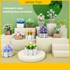 Blocks New City Succulente Bonsai Fiori Pianta Modello Building Blocks Flower Block Building Blocchi modello in vaso Giocattolo regalo R230701