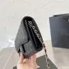 2023 New Wallet On Chain donna Portafogli firmati Borsa porta carte da donna Portamonete Portamonete trapuntato Borsa a tracolla di lusso 20 cm caviale d'oro Borsa in pelle con monete