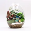 Oggetti decorativi Figurine Creative Bottiglie di vetro a forma di uovo Vaso succulento Idroponico Carnoso Micro paesaggio Terrario Muschio Decorazione domestica 230520