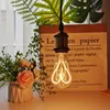 Bulbs Led Edison Bulb ST64 4W Heart Dimmable Specialty Vintage Decorative Light BulbLED