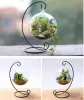 Partihandel Spiral Bottom Ornament Display Stand Iron Hanging Rack Holder For Plant Christmas Candlestick Home Wedding Decoration H23cm