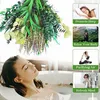 Fleurs décoratives plantes vertes accessoires pour douche naturel véritable argent Dollar Eucalyptus feuilles tiges