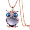 Pendant Necklaces Vintage Charm Owl Necklace Women Rhinestone Crystal Long Sweater Chain Choker Explosive Jewelry For Clothing Drop Dhszb