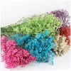 Dekoratif Çiçekler Çeşitli Renkler Gerçek Gypsophila Gül Pembe Kırmızı Buket 75g /Lot Doğal Bitki Sahne Düzenlemesi Ev Dekor