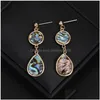 Dangle Lustre Haute Qualité Naturel Ormeau Shell Boucle D'oreille Pour Les Femmes Élégant Goutte D'eau Larme Géométrie Partie De Mariage Jeweley Dh3Or