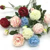 Fleurs décoratives 10 pièces fleur artificielle Style européen 3 têtes noyau filé pivoine Western Rose décoration de mariage