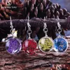 Dangle Chandelier Sell Dried Flower Glass Pendant Earring For Women Unique Design 10 Color Hook Fashion Jewelry Gift Drop Delivery Dhxwc