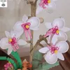 Bloklar Orkide Çiçekler Buket Binası Succulents Tuğlalar Bitki Romantik Ev Dekorasyon Model Oyuncaklar Kız Hediyeleri 230519