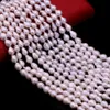 Crystal Baroque Pearl Beading High Quality Natural Freshwater Pearl Loose Beads for Jewelry Making Necklace DIY Bracelet 15x18mm