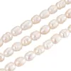 Crystal 10 Strands Natural Cultured Freshwater Pearl Beads Rice Shape Loose Beads For Women DIY Necklace Bracelet Jewelry Making