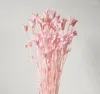 Decoratieve bloemen 40 g 45 cm Gedroogde gekleurde steranijs Natuurlijk boeket Decor Floral Flower Home Indoor