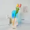 Objets décoratifs Figurines Arc-en-ciel Couleur Acrylique Vases En Plastique Transparent Forme Géométrique Fleur Conteneur Salon Maison Bureau Décoration De Bureau 230520