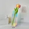 Dekoratif nesneler figürinler gökkuşağı renk akrilik vazolar plastik şeffaf geometrik şekil çiçek konteyner oturma odası ev ofis masaüstü dekorasyon 230520