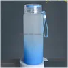 Tumblers süblimasyon su şişesi 500ml buzlu cam şişeler gradyan boş bardak bırakma deseninde ev bahçe mutfak yemek bar dri dhjhp