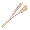 Decorative Flowers 60 Pcs Tall Natural Dried Wedding Bouquets Reed Decor Artificial Floral Arrangement Table Centerpiece