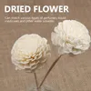 Decorative Flowers 3 Pcs Diffusers Home Air Freshener Diffuser Scent Aroma Stick