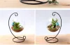 H33cm Spiral Bottom Ornament Stand Stand Iron penduring Rack Solter para planta Candlestick Casa Decoração de casamento H23cm Factory Outlet