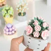 BLOCKS Blomma Succulents Potted Building Blocks Romantic Flower Bouquet Assembly Toys For Girls Women Birthday Present R230629
