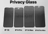 Protecteur d'écran en verre anti-espionnage anti-espionnage à couverture complète pour iPhone 15 14 13 12 11 Pro max XR XS 6 7 8 Plus 9H en verre trempé avec boîte de vente au détail