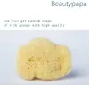 Svampar applikatorer Cotton Beautypapa 6st/set Natural Greek Fina Silk Sea Sponge Makeup Borttagning 1.5 ''- 2.0 ''- Slumpmässig form Beauty Make Up Remover 230520