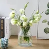 Vases Simple Polka Dot Transparent Glass Vase Desktop Flower Arrangement Home Decoration Modern Living Room Hydroponic Wedding