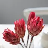 Dekorative Blumenkränze, 3 Stück, natürliche getrocknete Blumen, roter Schneelotus, für Zuhause, Hochzeit, Xmax-Dekor, originelle unsterbliche Blumen, Lagerzeit 2 Jahre