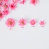Decorative Flowers Real Natural Dried DIY Art Crafts Nail Mould Fillers Daisies Jewelry Making Accessories Daisy Flower Head Decor